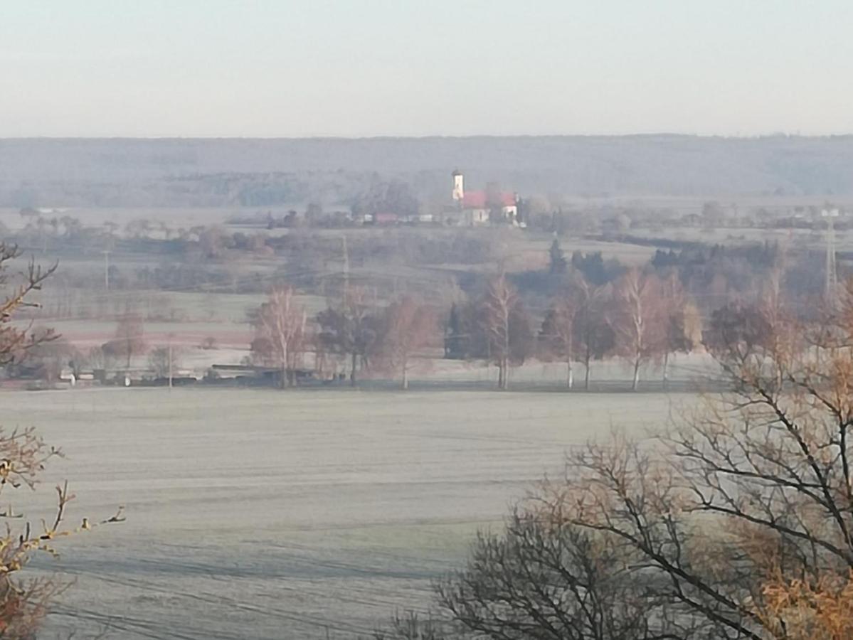 Adler Brasserie Munderkingen Exteriör bild